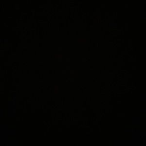 Meet your Posher, Ty